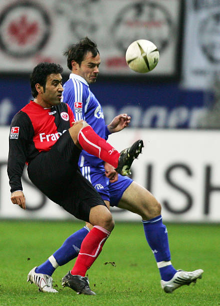 都是全新的 都是全新的